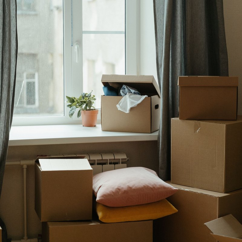 Moving boxes stacked by a window, with pillows on a box and a potted plant on the sill